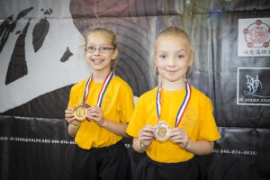 Medal award 2015 photos at the US Open Martial Arts Championship organized by the WFMAF.