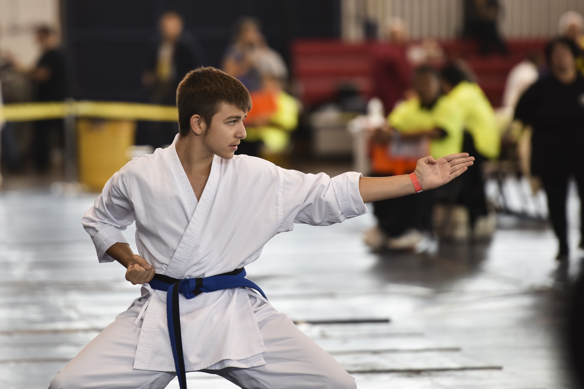 Karate demonstration at the US Open Martial Arts Championship, organized by the WFMAF.